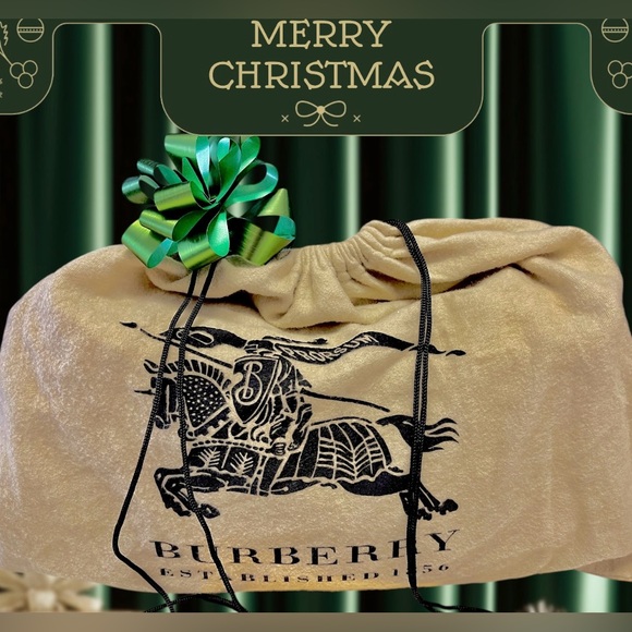 BURBERRY Red Leather Made in Italy Shoulder Bag Mint Condition - Picture 16 of 16